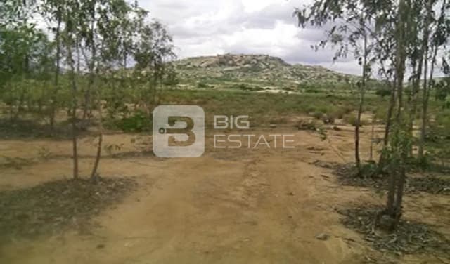 Paratus Green Meadows