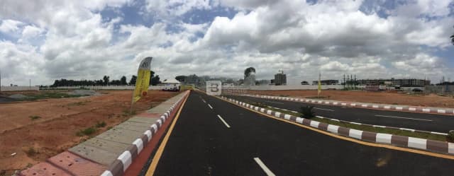 MS Sunny Green Woods