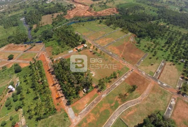 Bluejay Ardley Phase 1