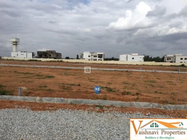 Vaishnavi NYSA Spring Fields