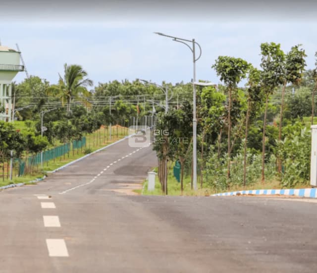 Ashwasurya AR Beryle