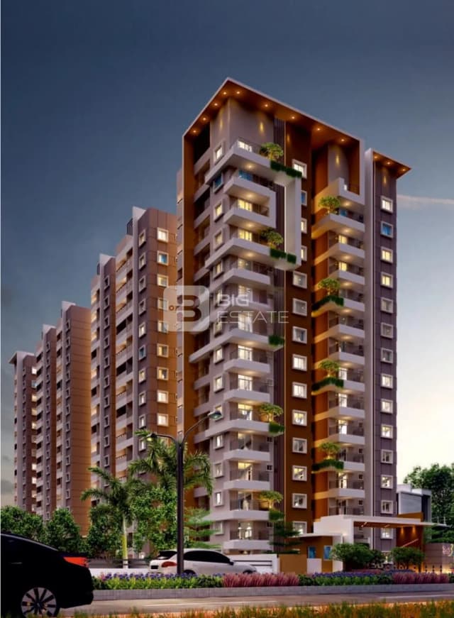 DS Needs 3 Project 168