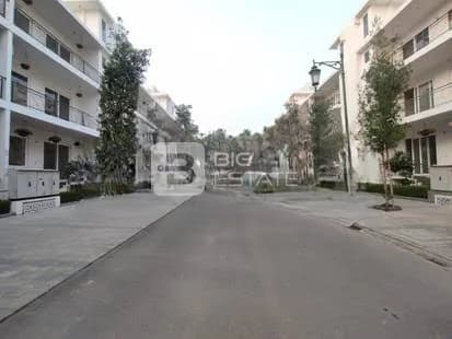 Central Park Flamingo Floors